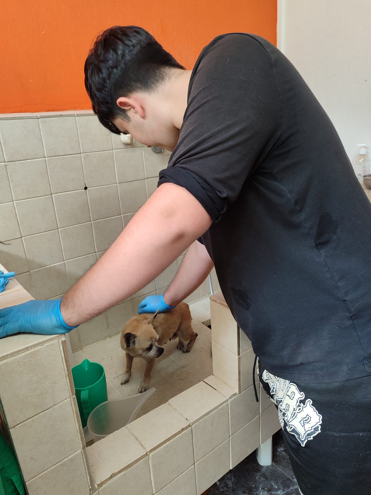 WhatsApp Image 2025-06-26 at 15.28.31 (1)