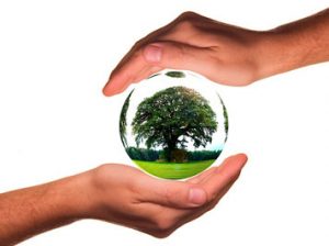 Ciències naturals INS Pont de suert