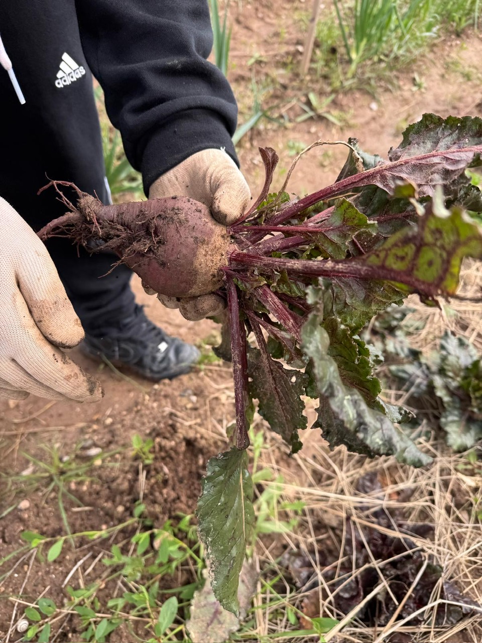 3f489c63-6c2c-438e-93fa-a831b8ce6e03