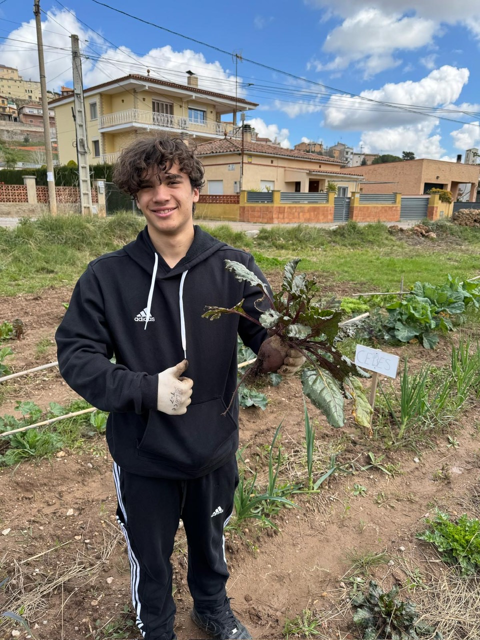 48e3bf1d-89e7-4588-bc46-ebe69dd05197