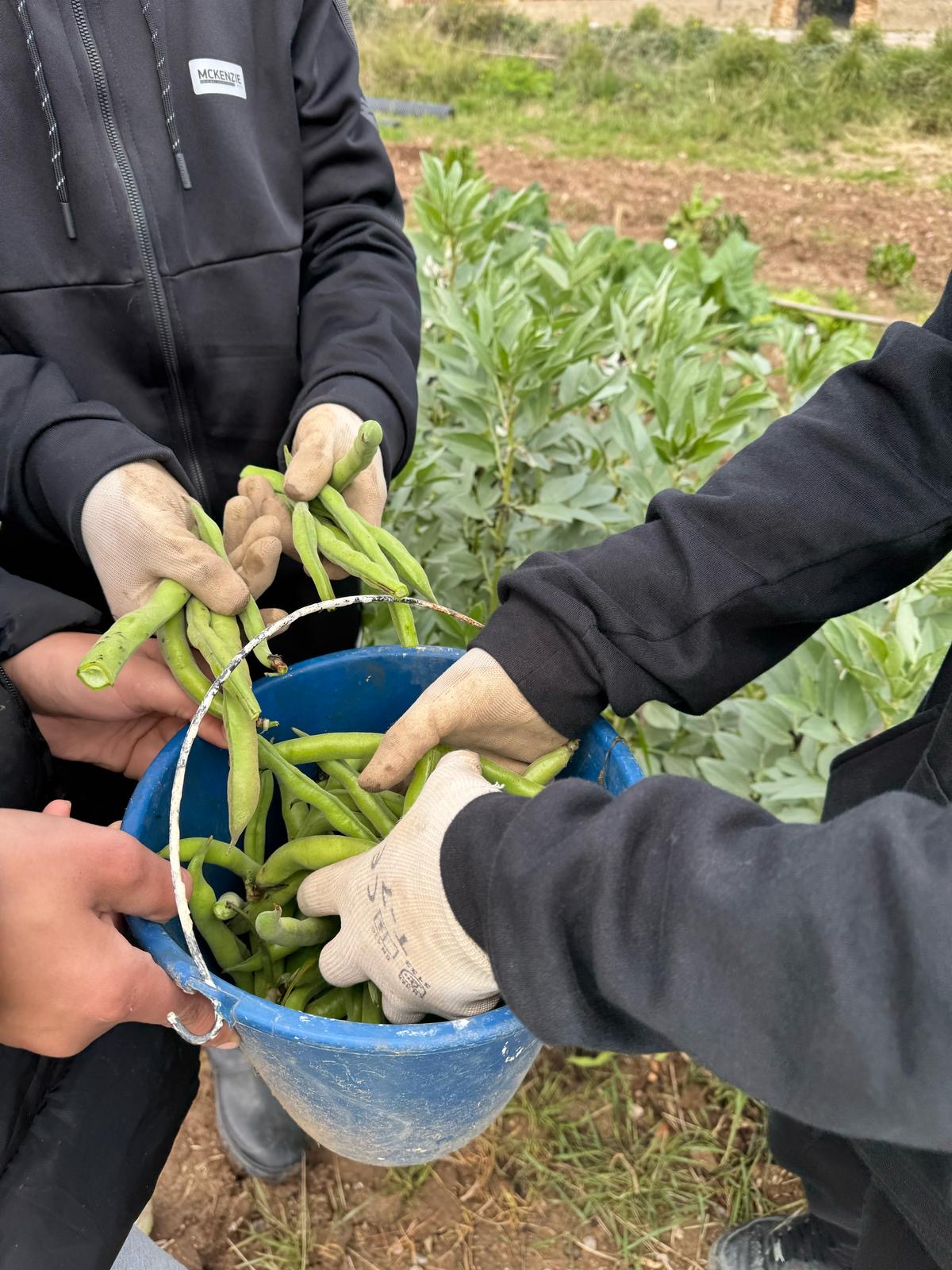 ccc0139d-a65a-40da-9d8b-19e44e67157b