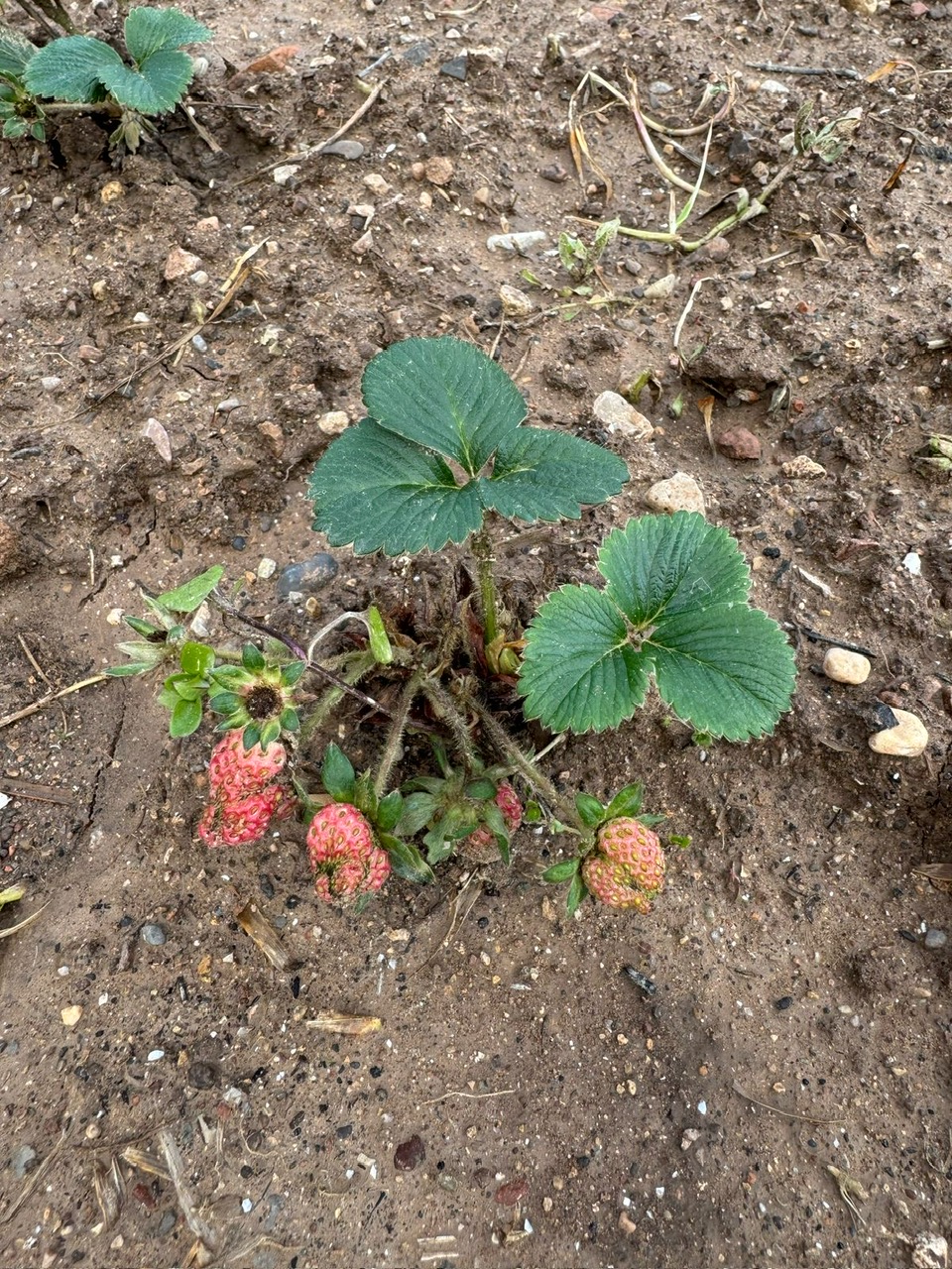 dae79dc9-d9b4-43d9-9d87-90b6eed24318