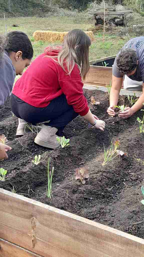 1_plantem_hort_de_tardor