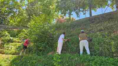 5_fem_forats_per_transplantar_arbustos