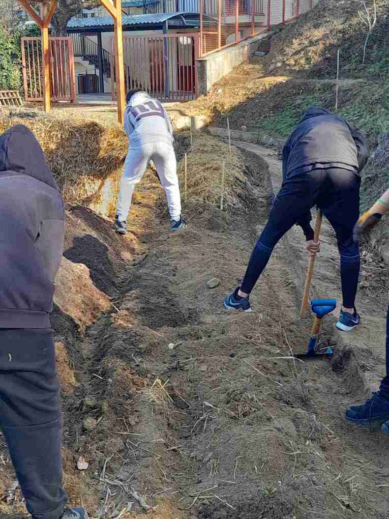 6_Preparem_terra_per_aplicar_barreja