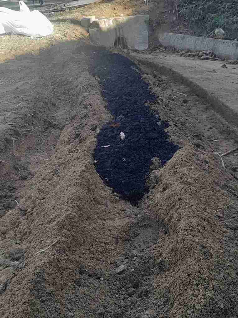 7_apliquem_barregem_amb_el_sol