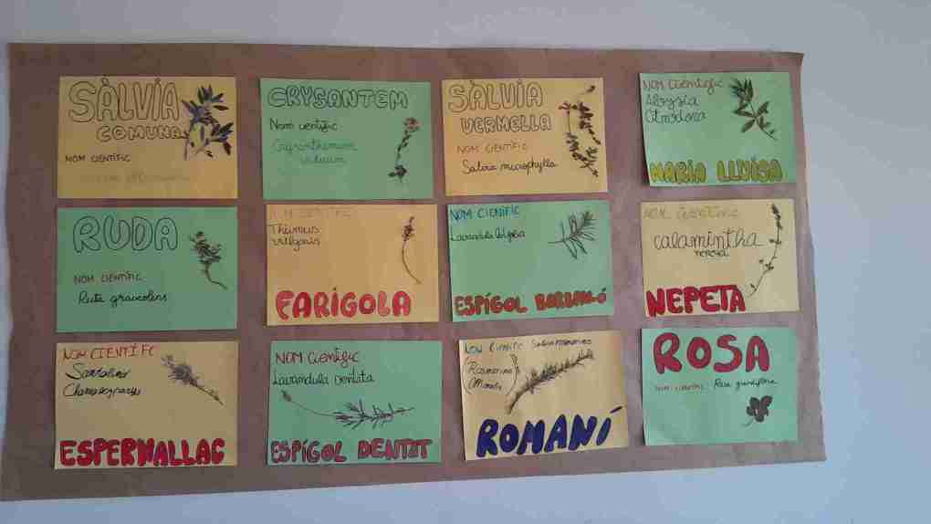 9_Mural_herbari_del_jardi