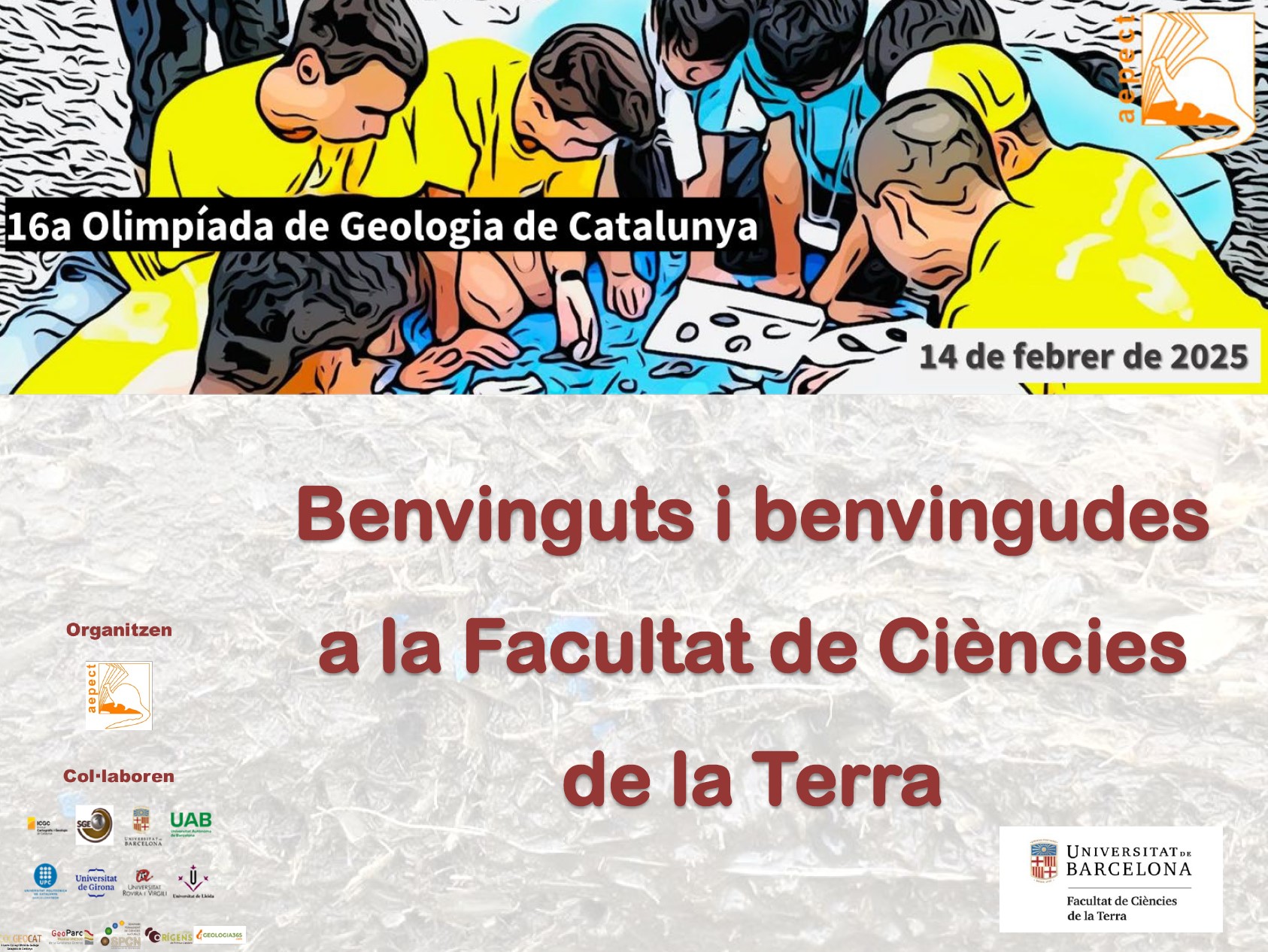 Olimpiada de Geologia 2025