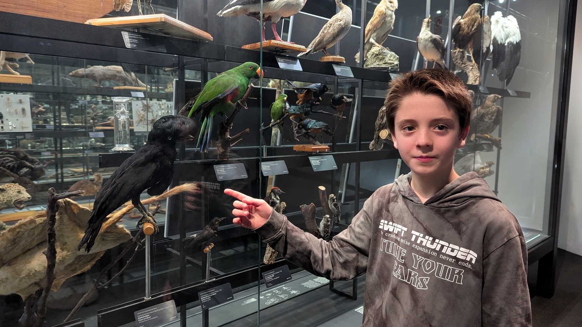 PXL_20250220_113331751