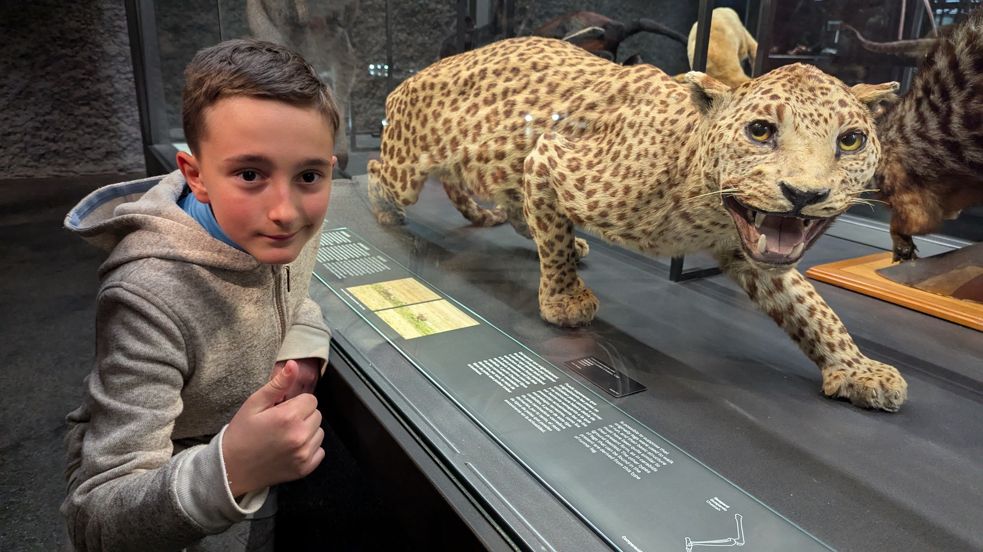 PXL_20250221_120608997