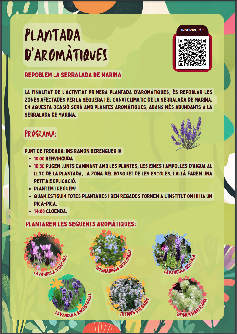 Captura de pantalla 2024-11-06 a las 19.22.55