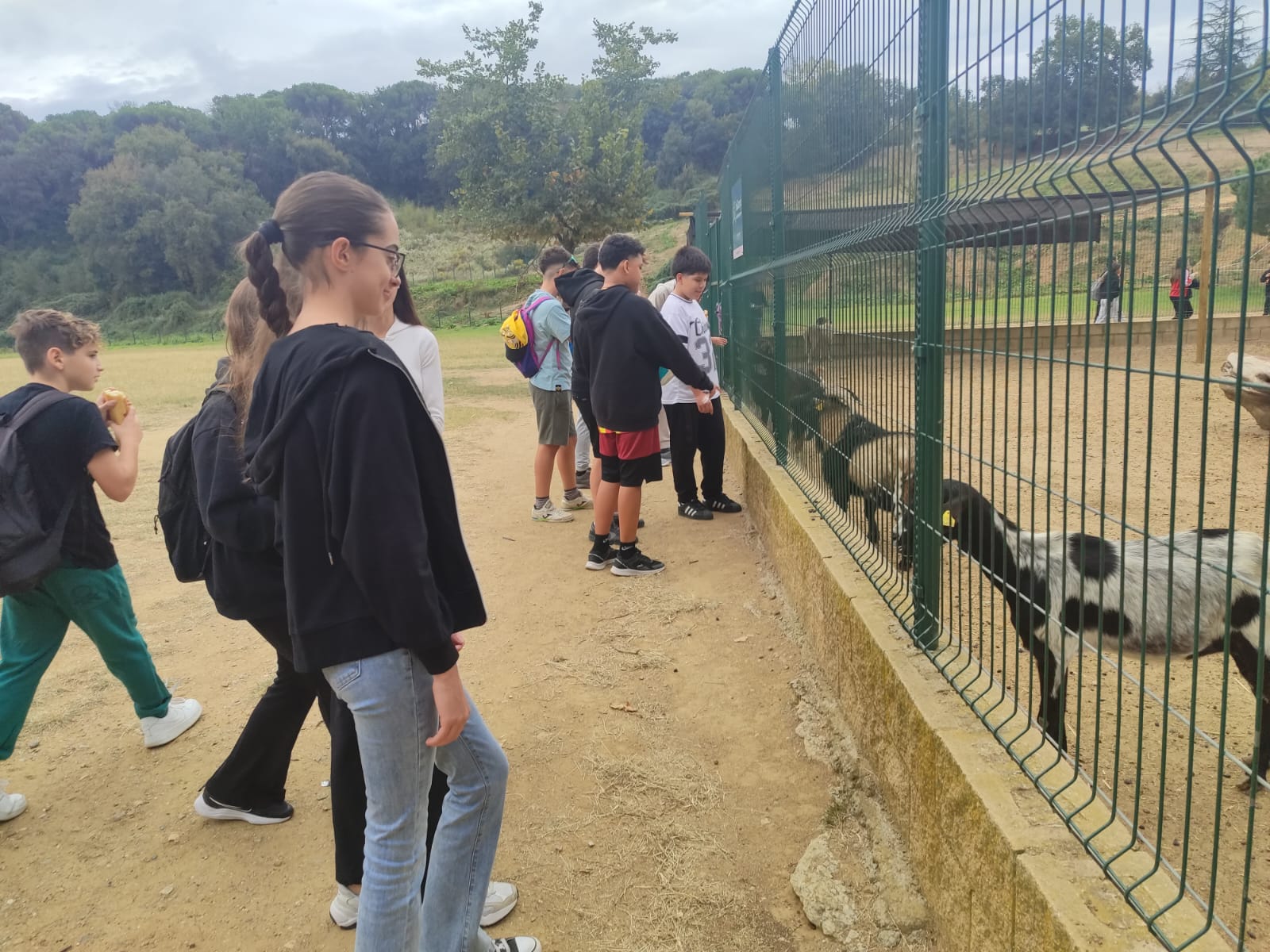 WhatsApp Image 2025-10-13 at 11.44.58