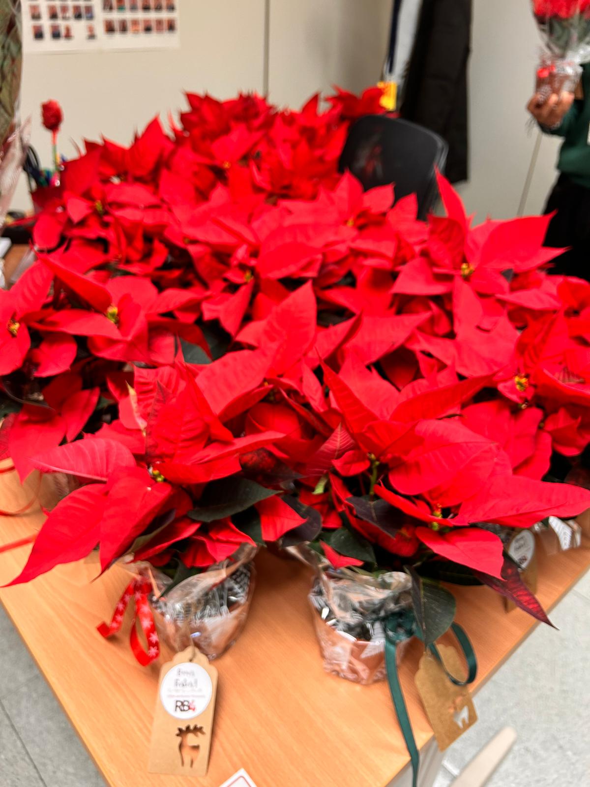 3237800d-f906-4524-b750-a1a9a70244bd