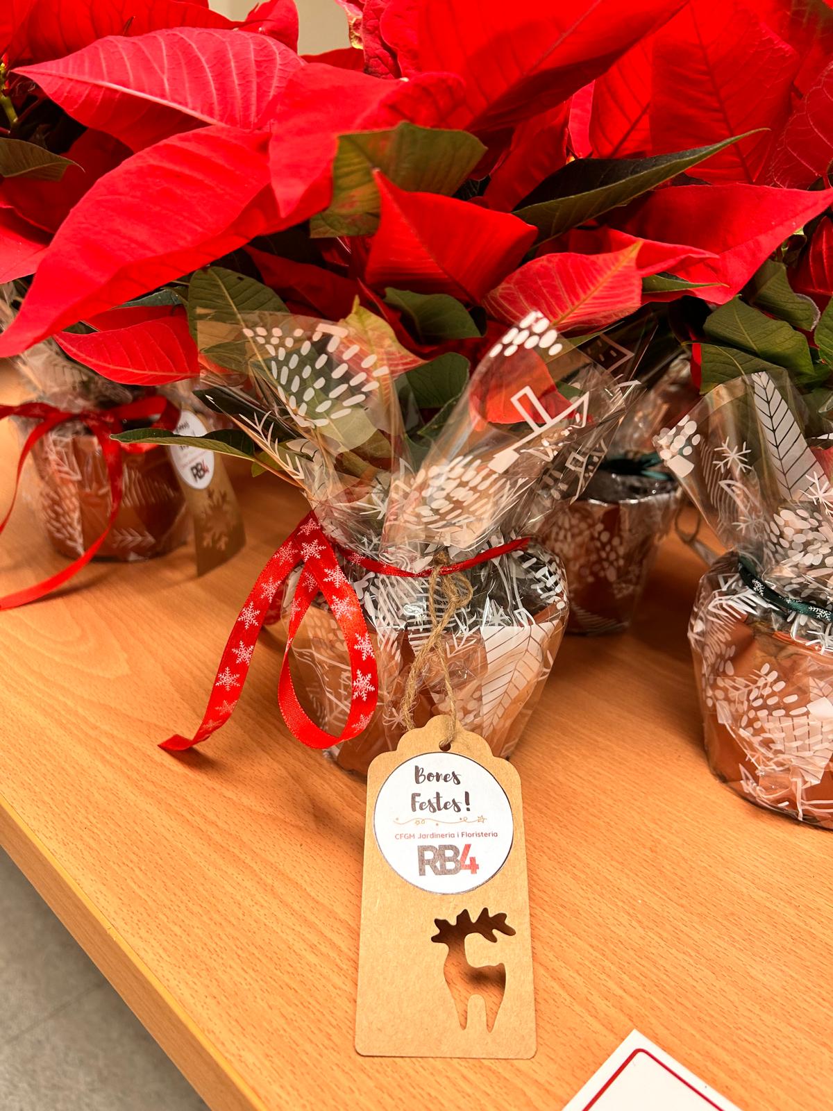 d3ccff86-ea18-47b4-8cc4-c78a8cd02405