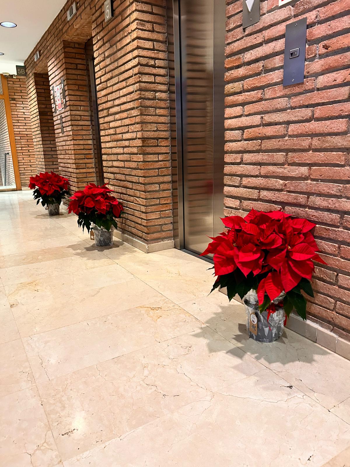 d59aaae6-a0f6-4ed6-bd1e-90b20519a51e