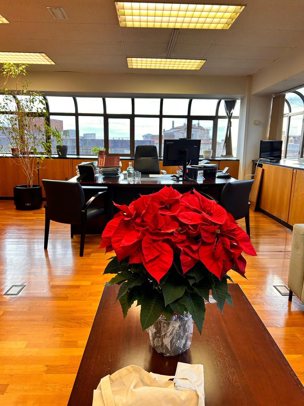 e3a054fe-c7e2-4e61-a4bd-1b7af10b4843