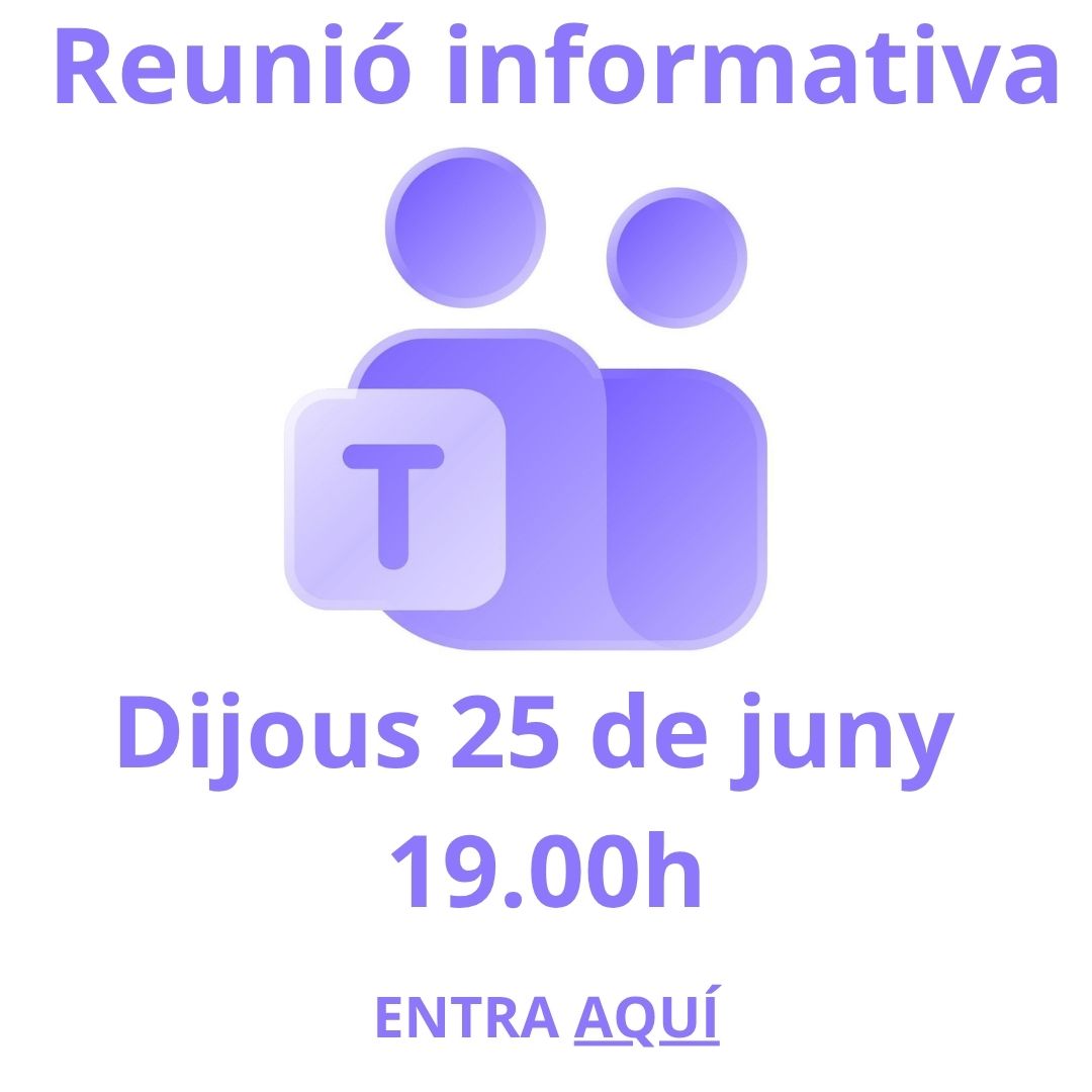 Reunió Iddink a Teams