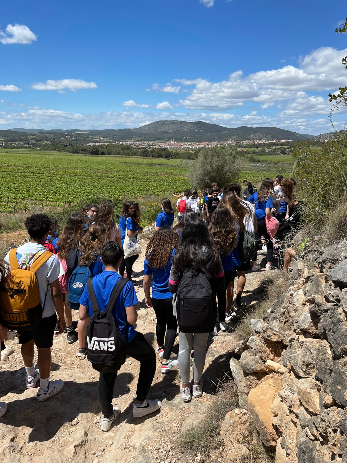 9916e531-195e-4e14-bf27-84b636d23350