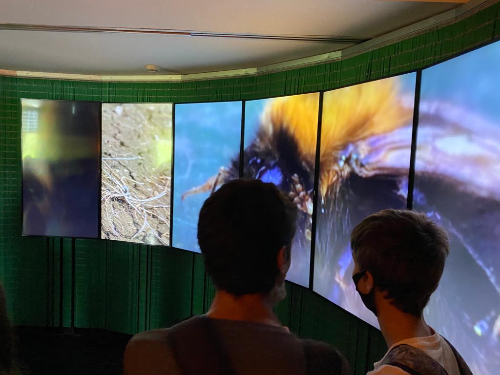 PHOTO-2021-10-20-14-00-37 2