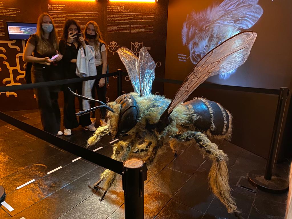 PHOTO-2021-10-20-14-00-37 4