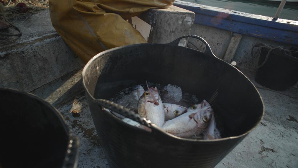 Els últims de la mar