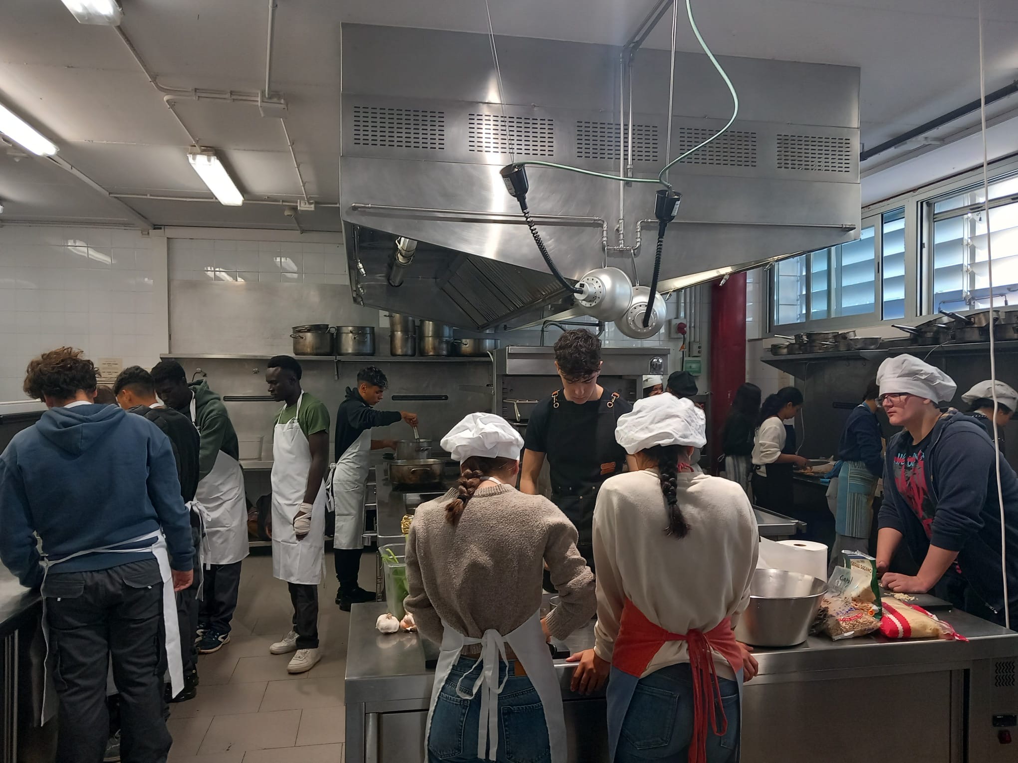 d5445f4f-cc7f-4ce5-9c5b-be82b2d3b546