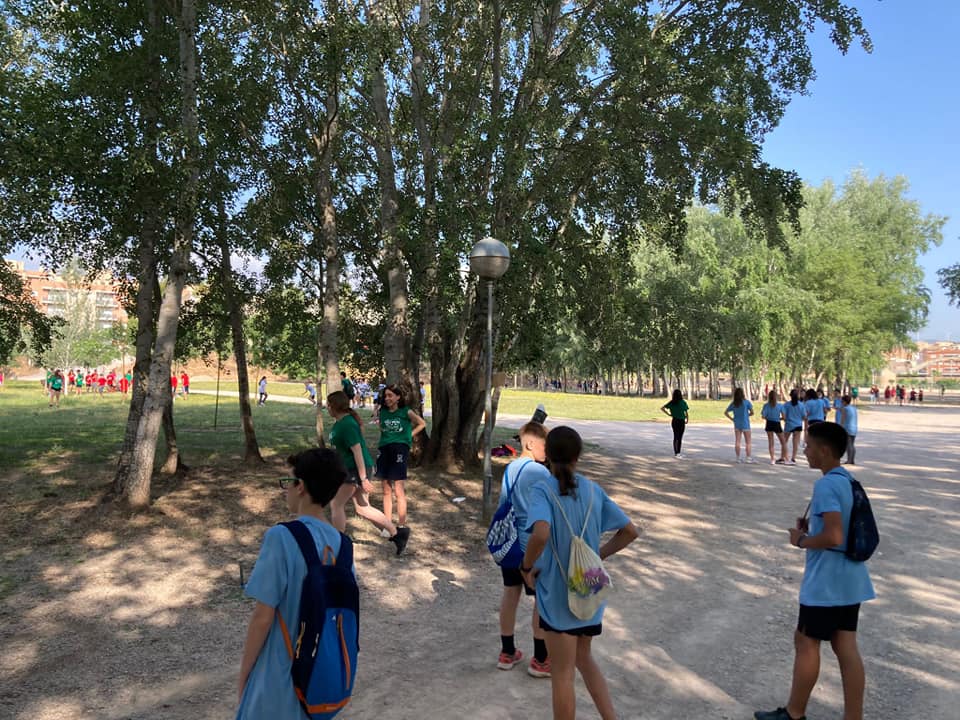 282014753_491362939444813_1411110278066752604_n