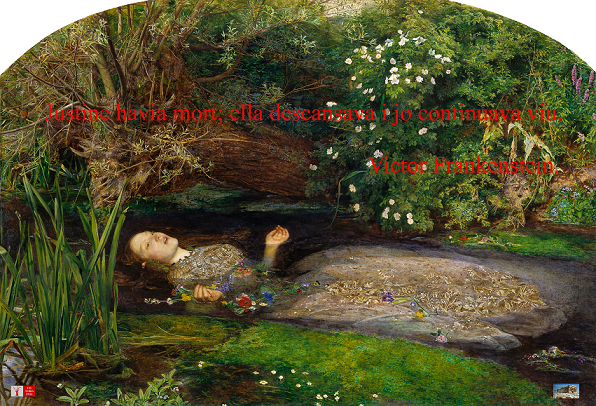 3.- Ophellia - John Everett Millais
