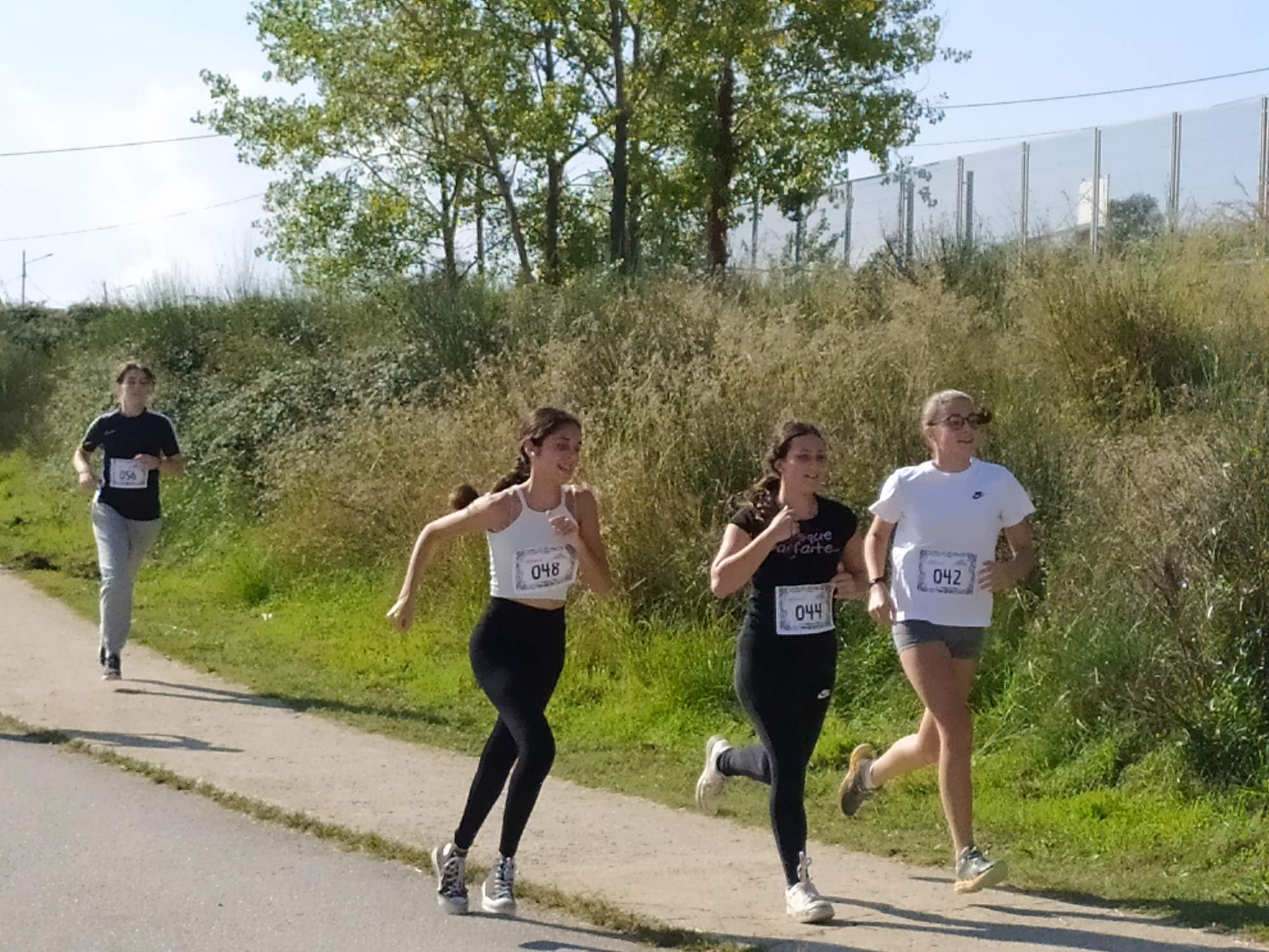 IMG_20241024_123926 (1)