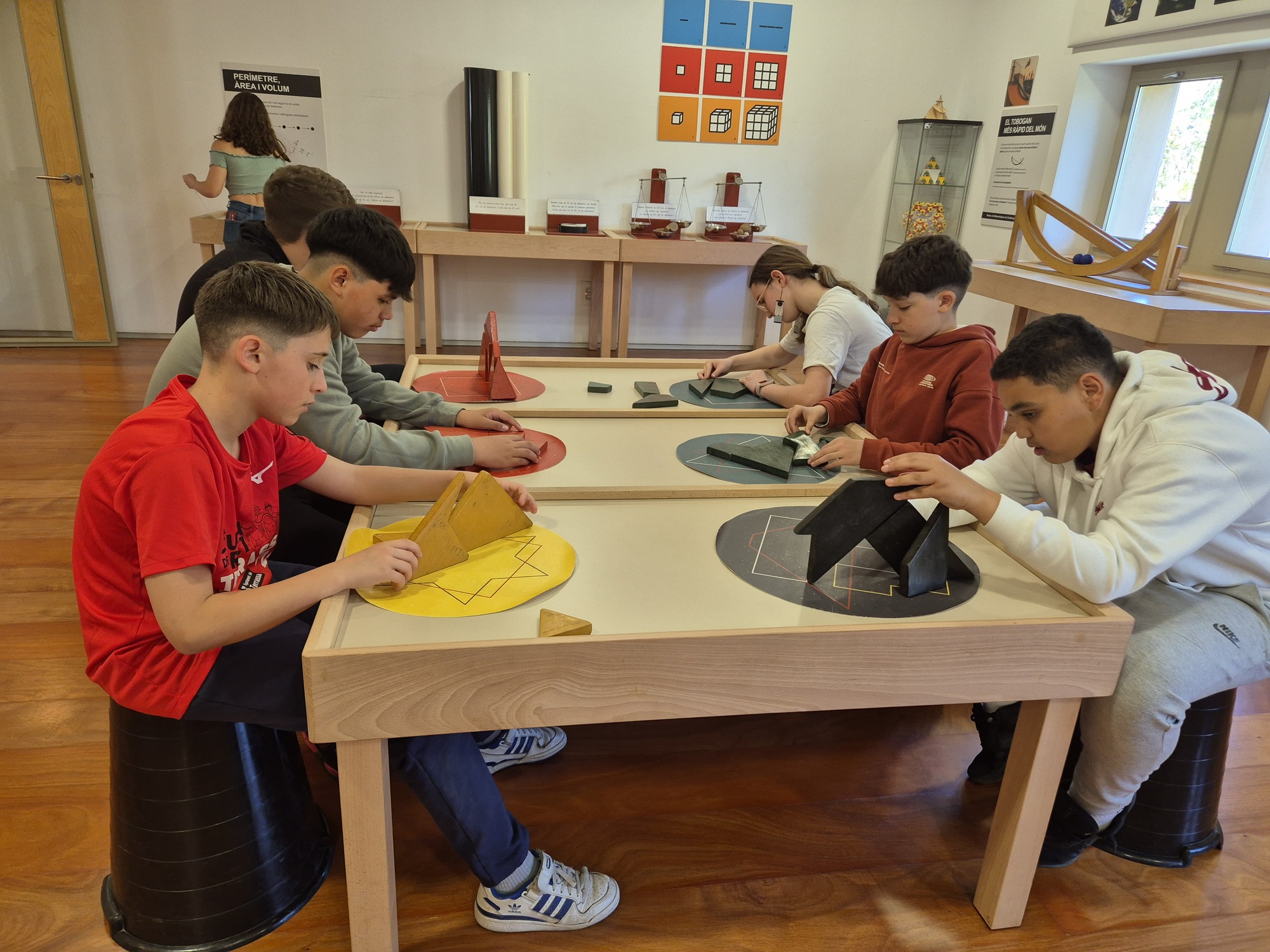 20250407_115117 (1) (1)