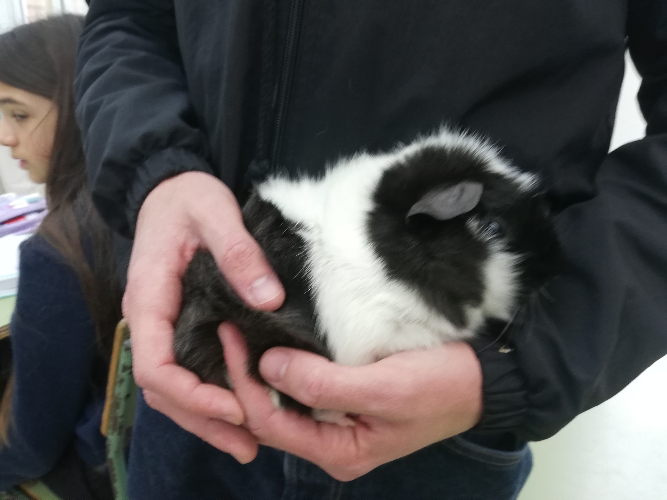 IMG_20250221_103822 (1)