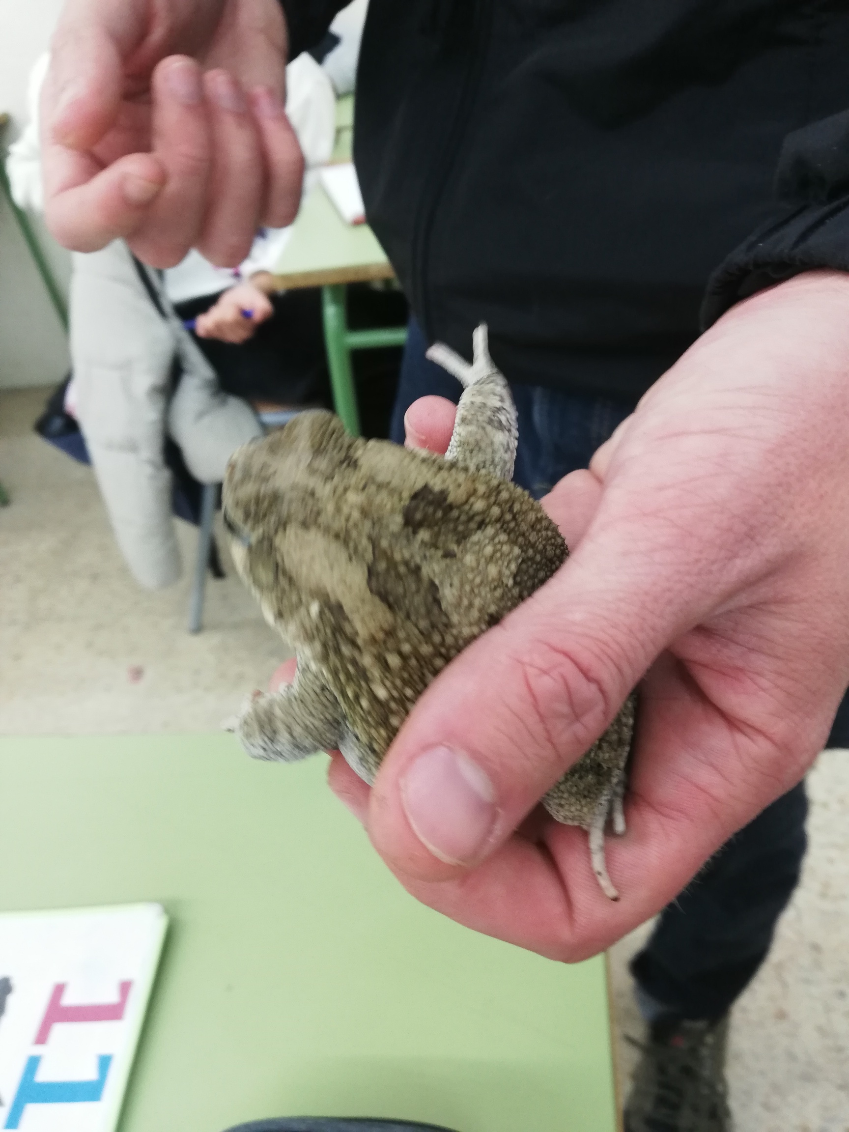 IMG_20250221_104829 (1)