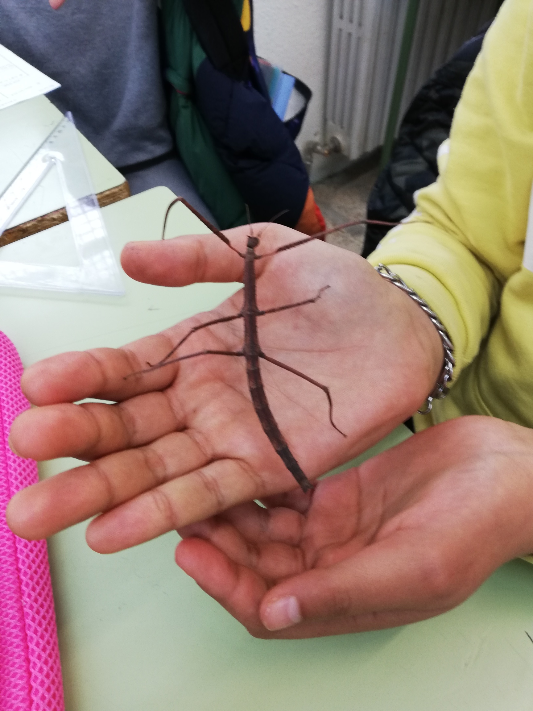 IMG_20250321_103813 (1)