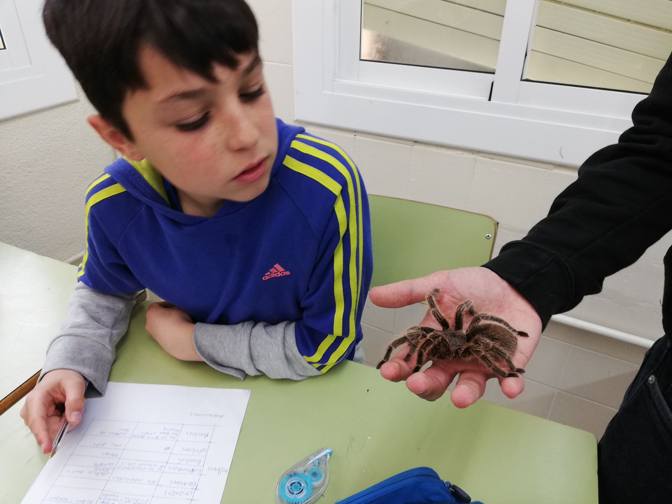 IMG_20250321_104331 (1)