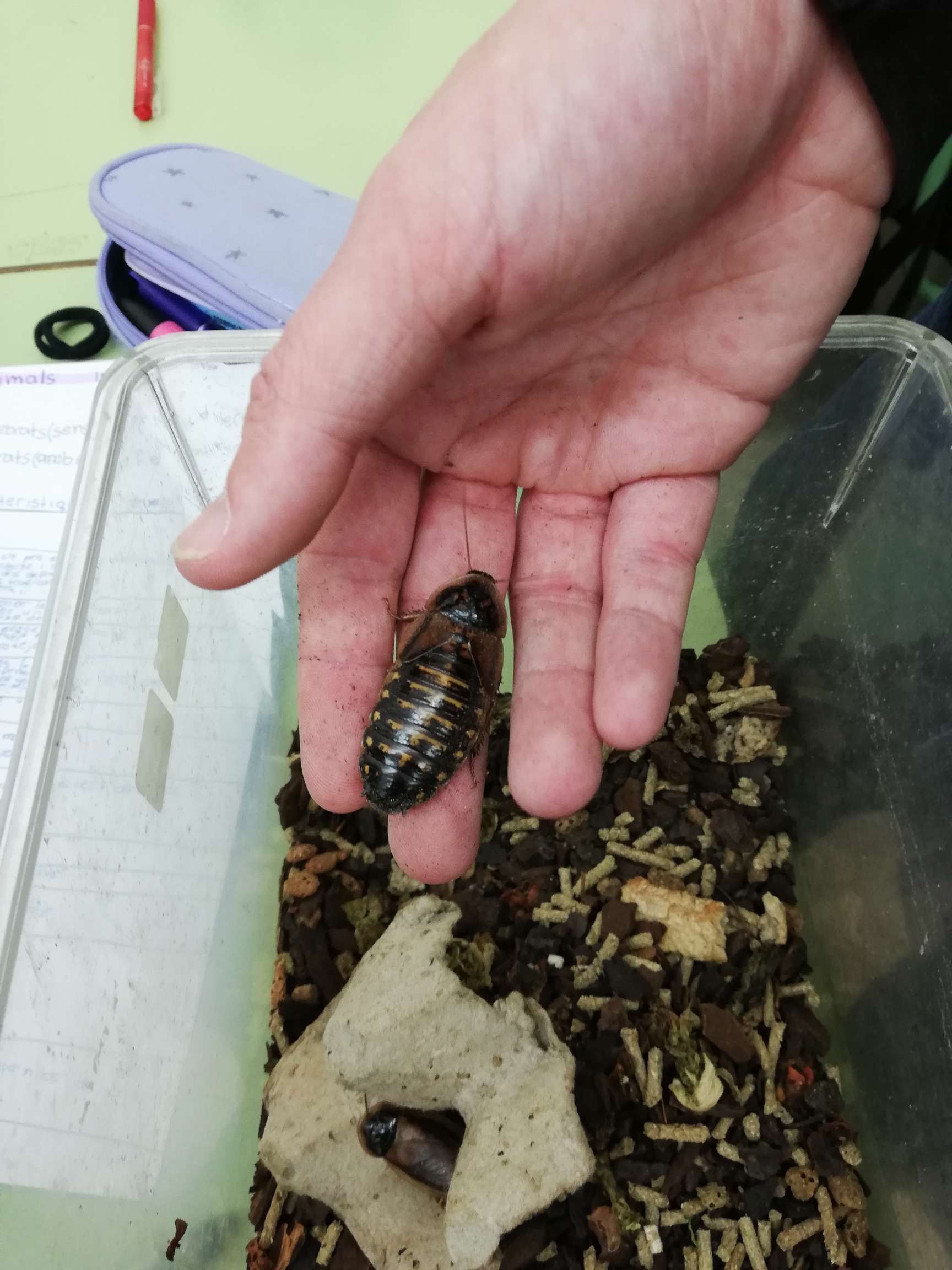 IMG_20250321_110646 (1)