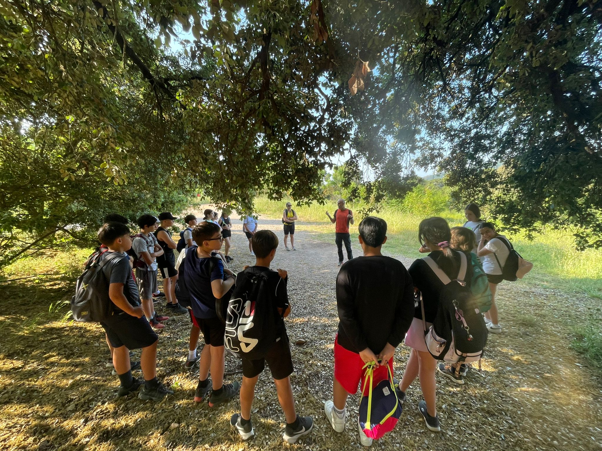 WhatsApp Image 2025-06-09 at 15.25.33