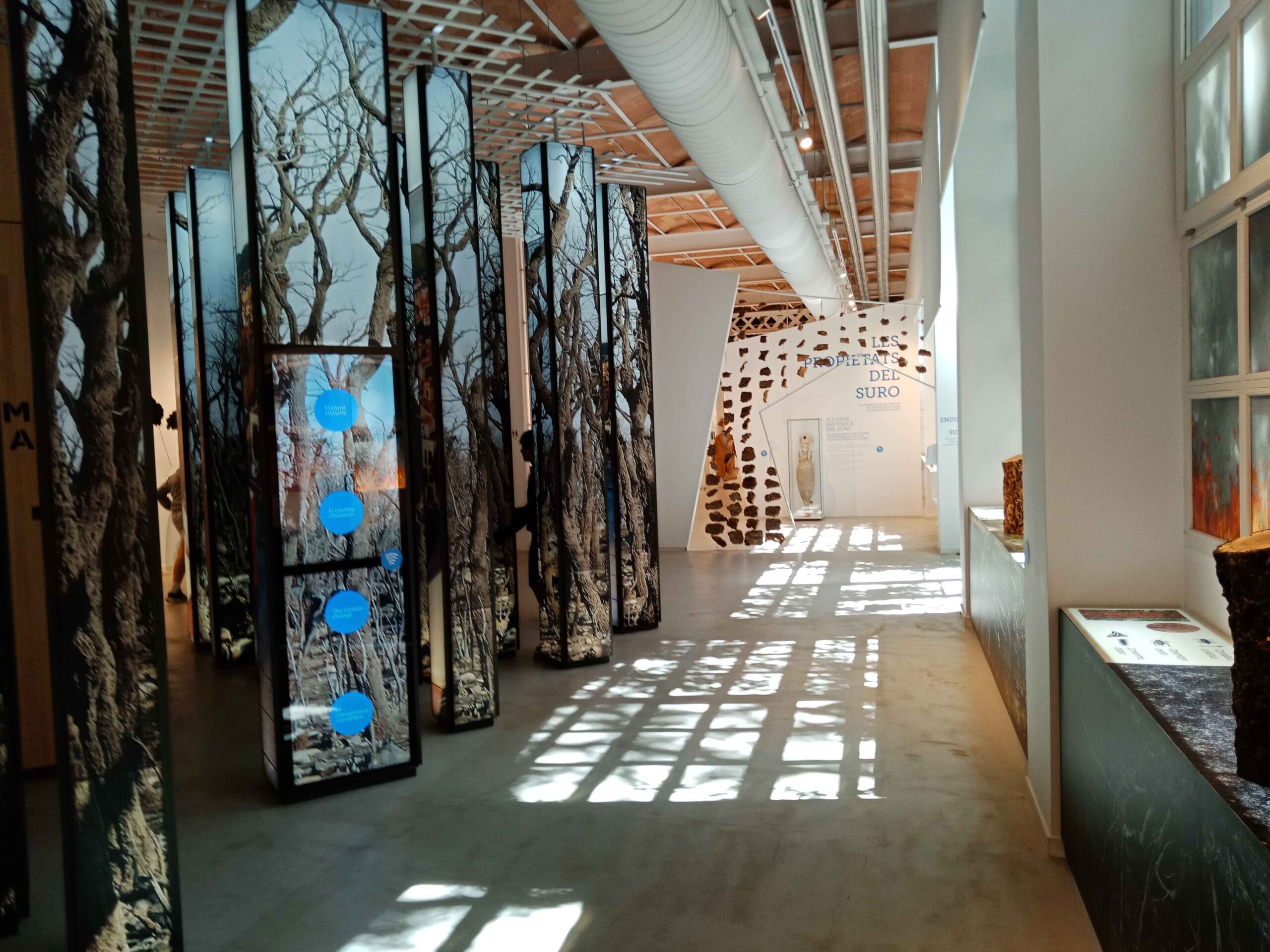 IMG20240411123639_11zon