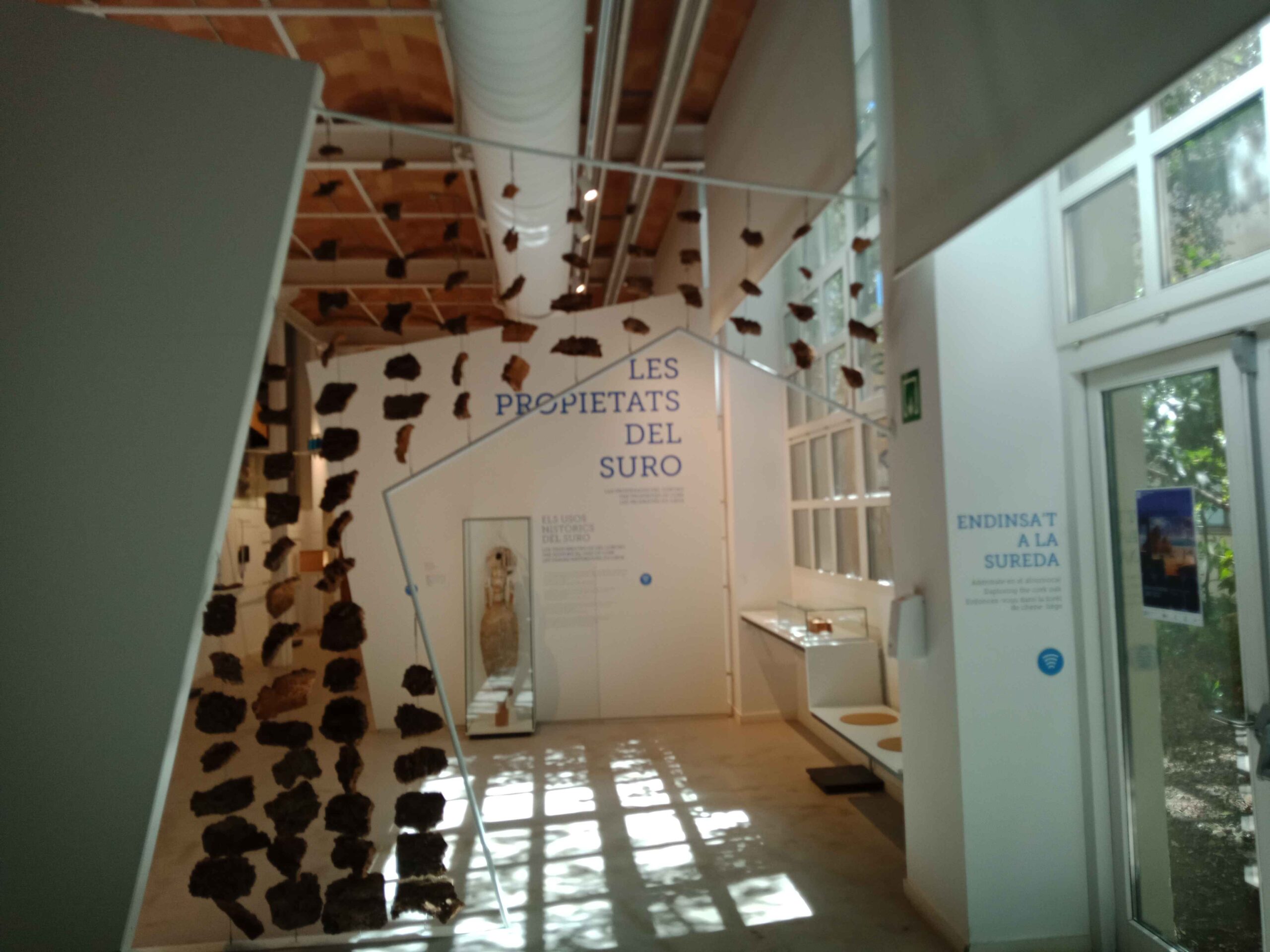 IMG20240411123647_11zon