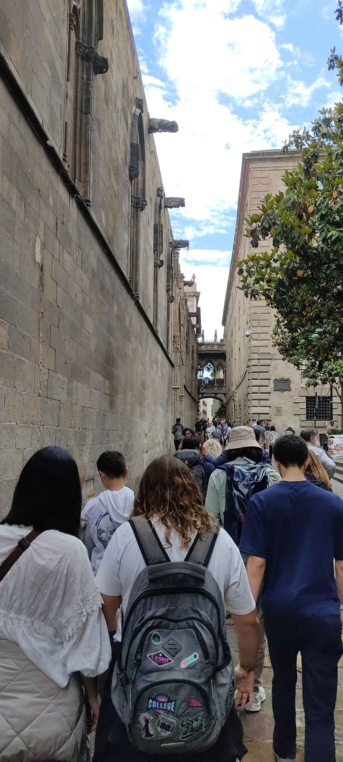 IMG_20240516_131752_11zon