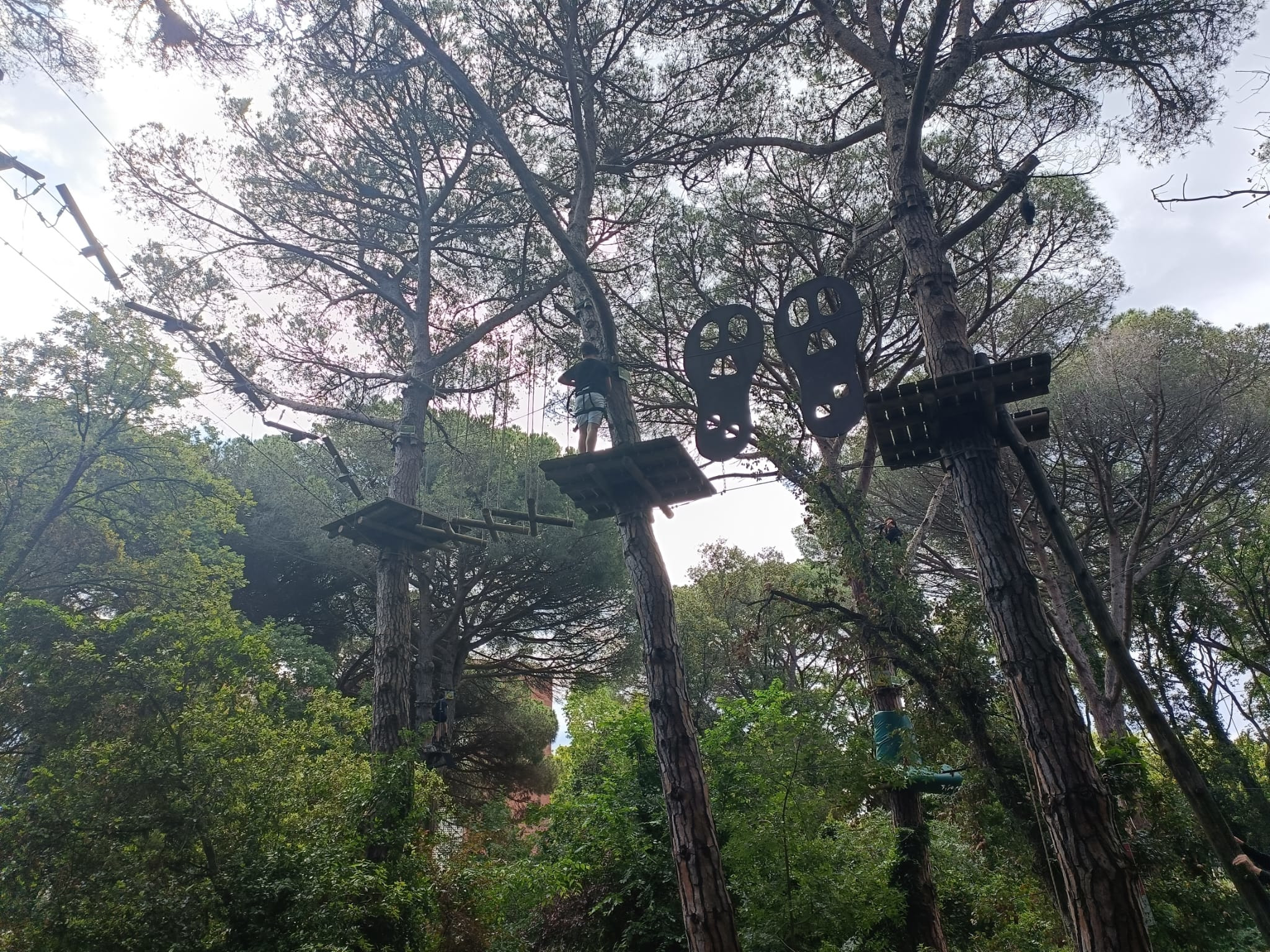 WhatsApp Image 2024-05-27 at 20.39.39