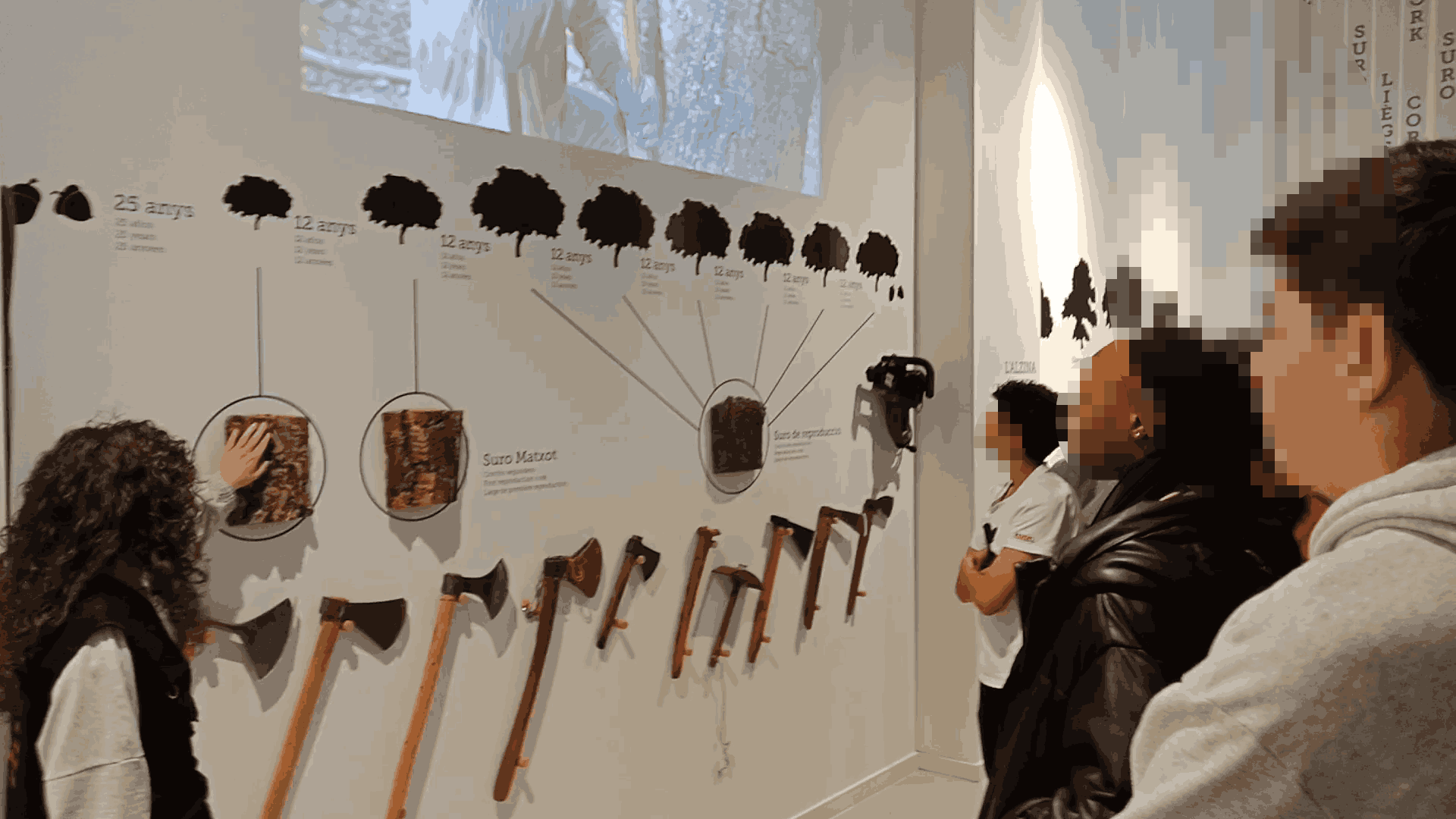 vlcsnap-2024-05-03-08h10m16s837_11zon