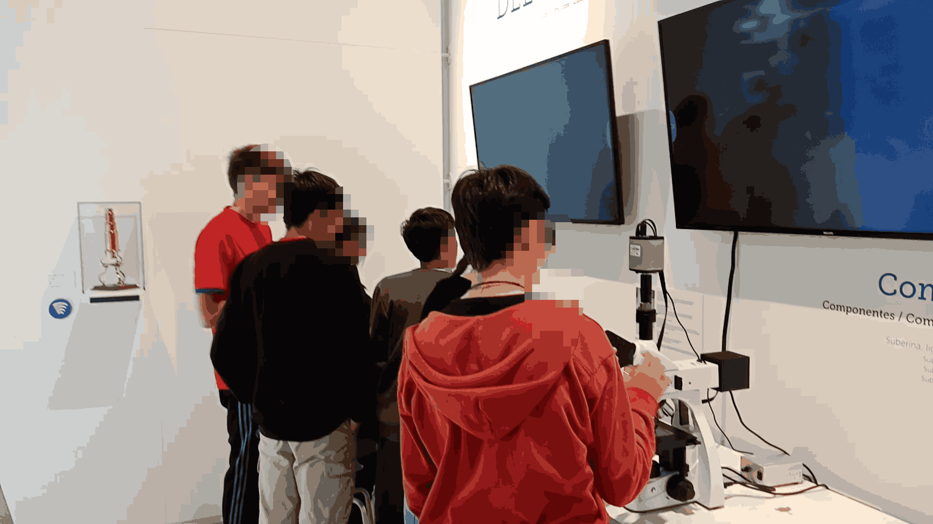 vlcsnap-2024-05-03-08h11m16s481_11zon