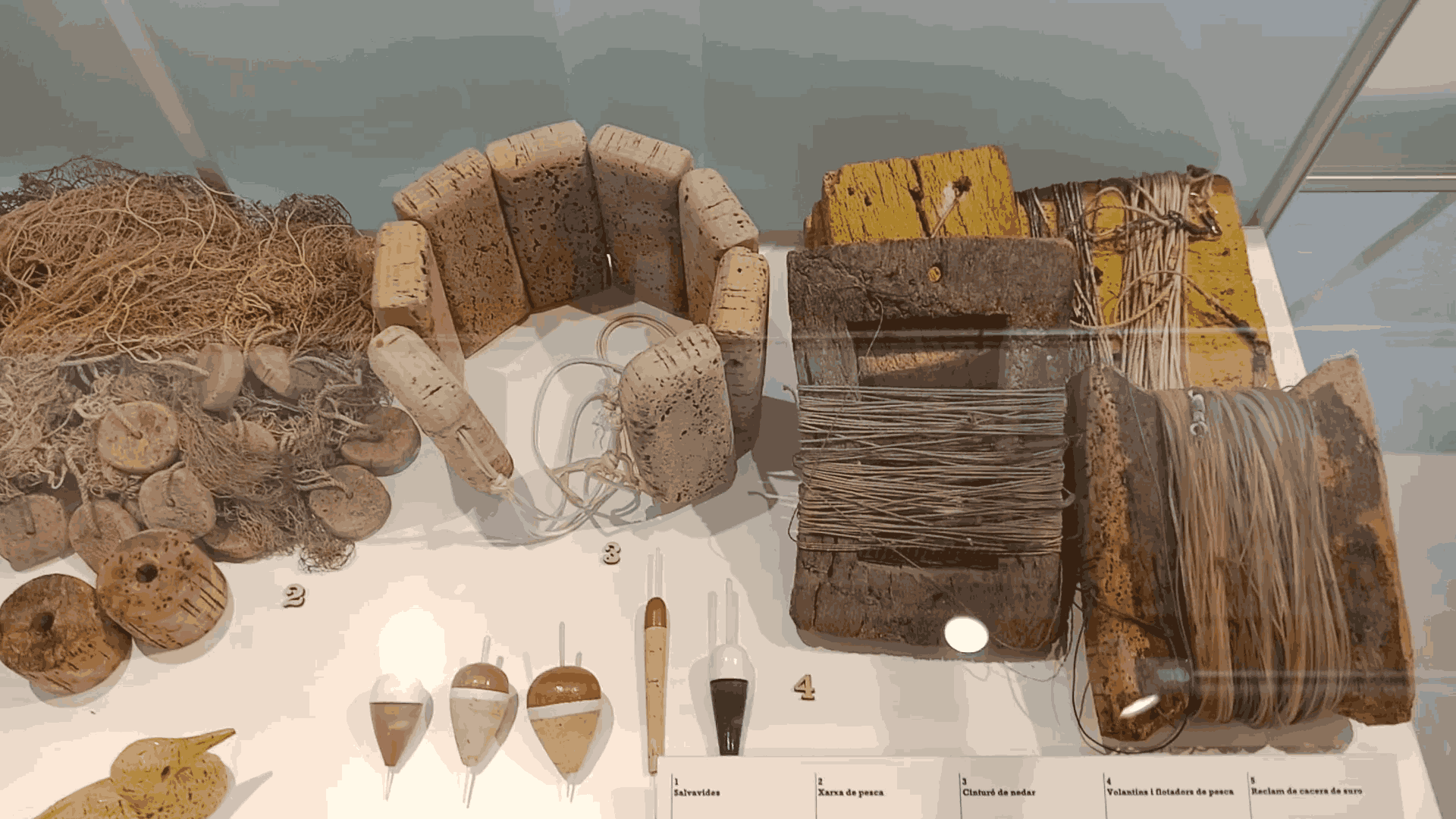 vlcsnap-2024-05-03-08h12m22s482_11zon