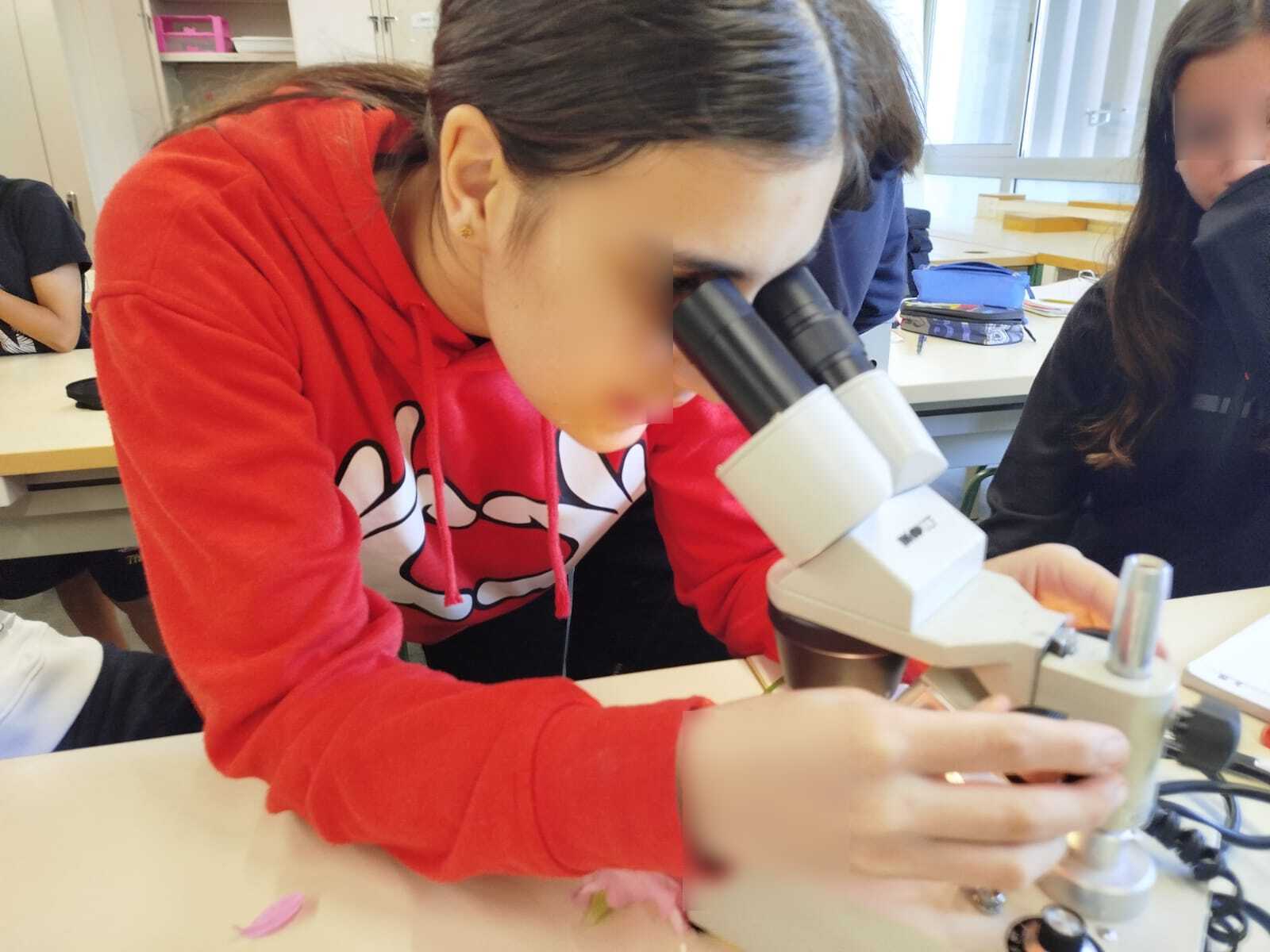 IMG-20250529-WA0016 (1)