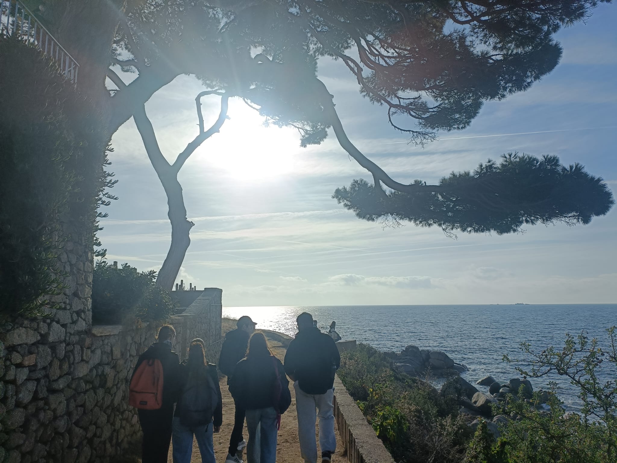 WhatsApp Image 2025-12-17 at 21.54.56