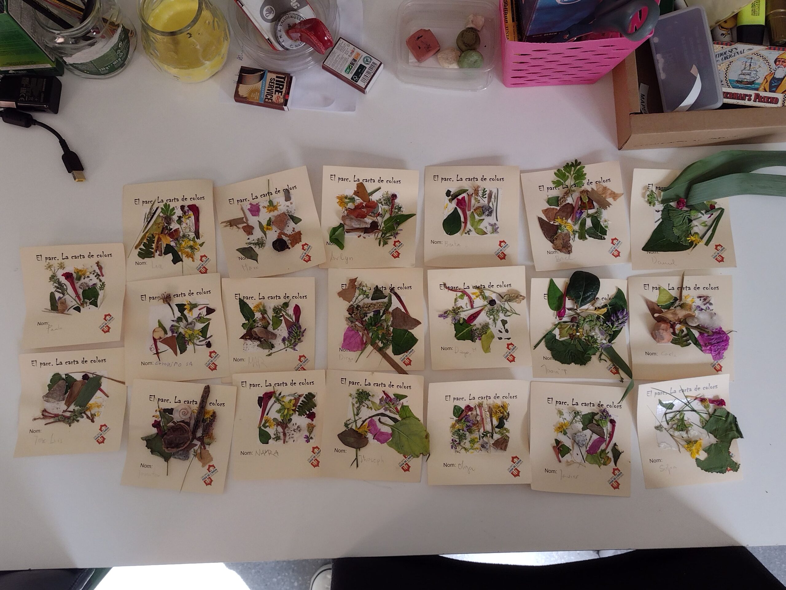 FEINA COLORS 3A_alumnes