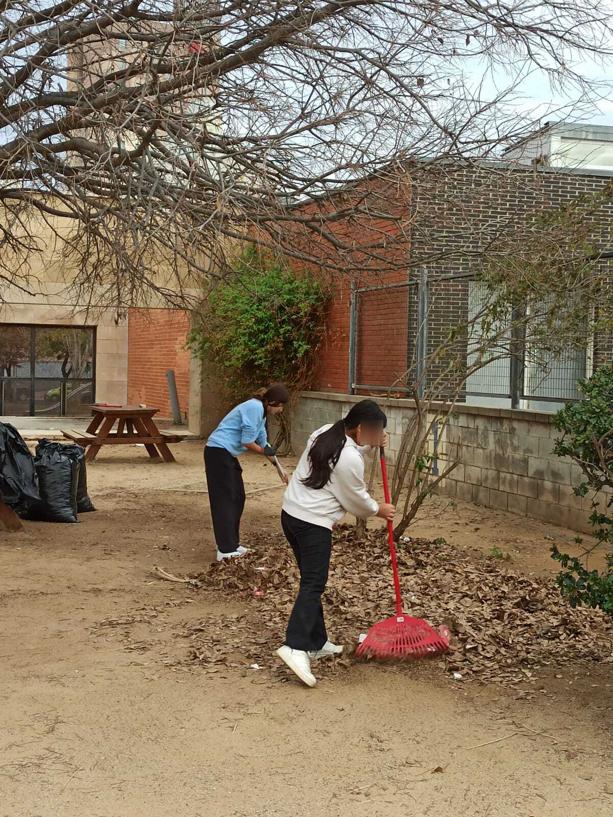 WhatsApp Image 2024-01-17 at 15.46.38 (1) (1)