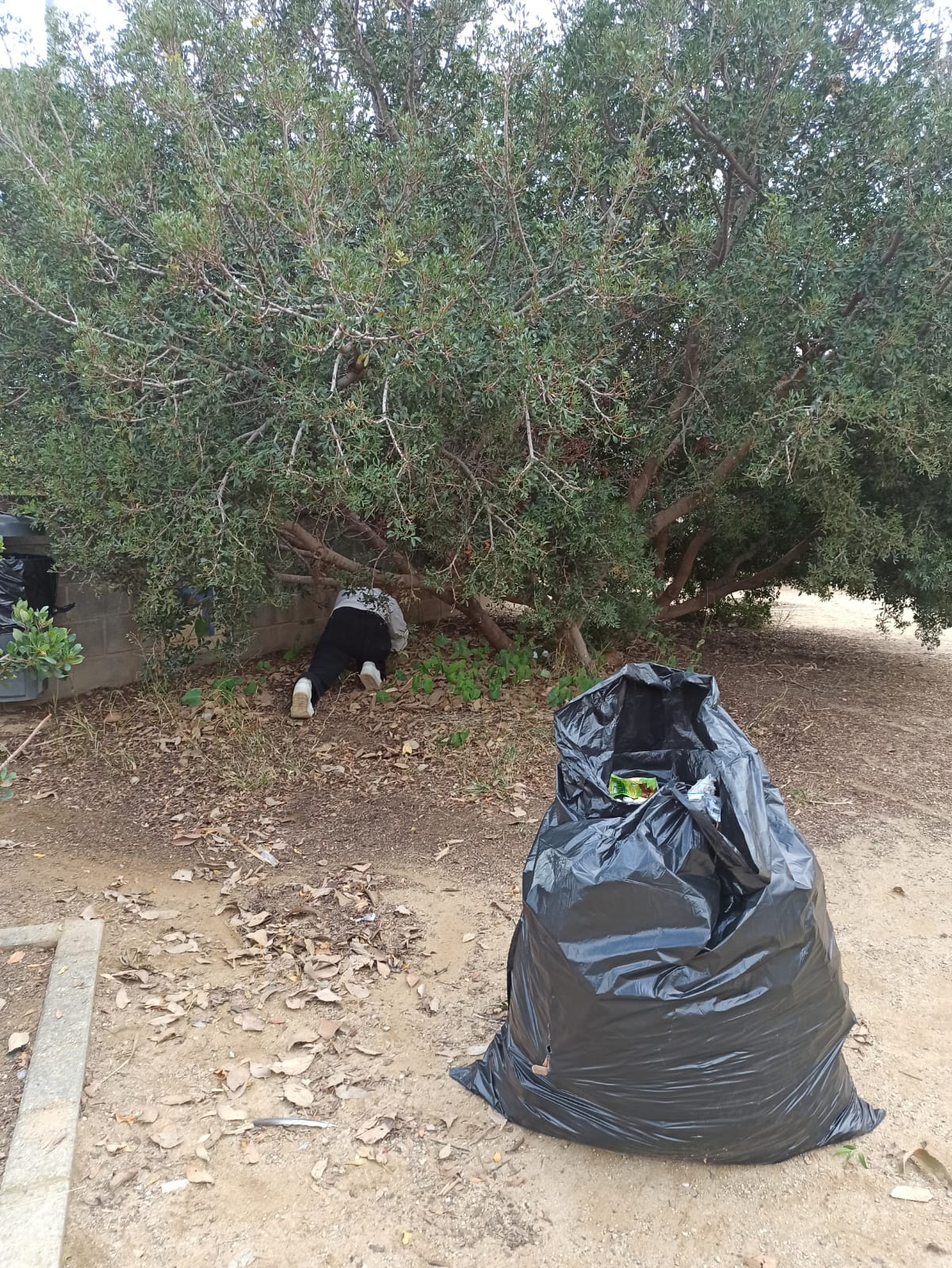 WhatsApp Image 2024-01-17 at 15.46.38