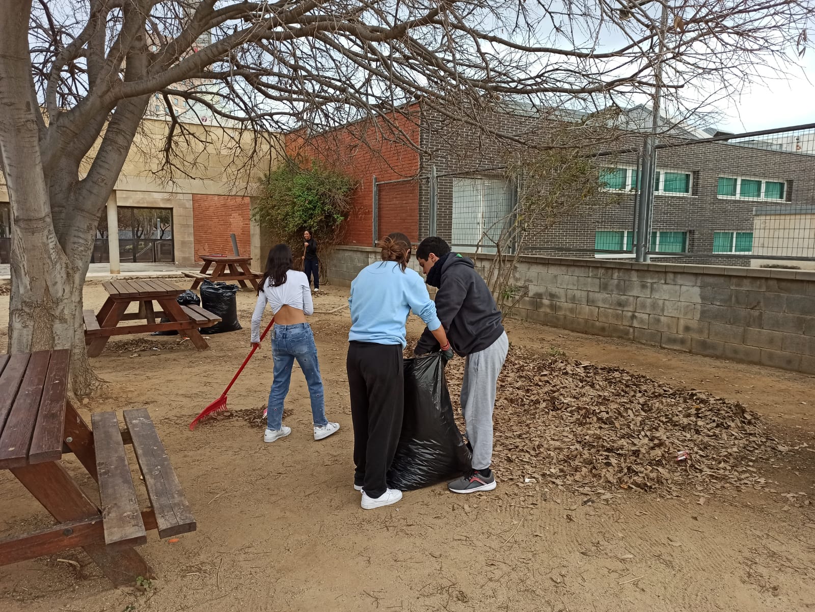 WhatsApp Image 2024-01-17 at 15.46.39 (1)