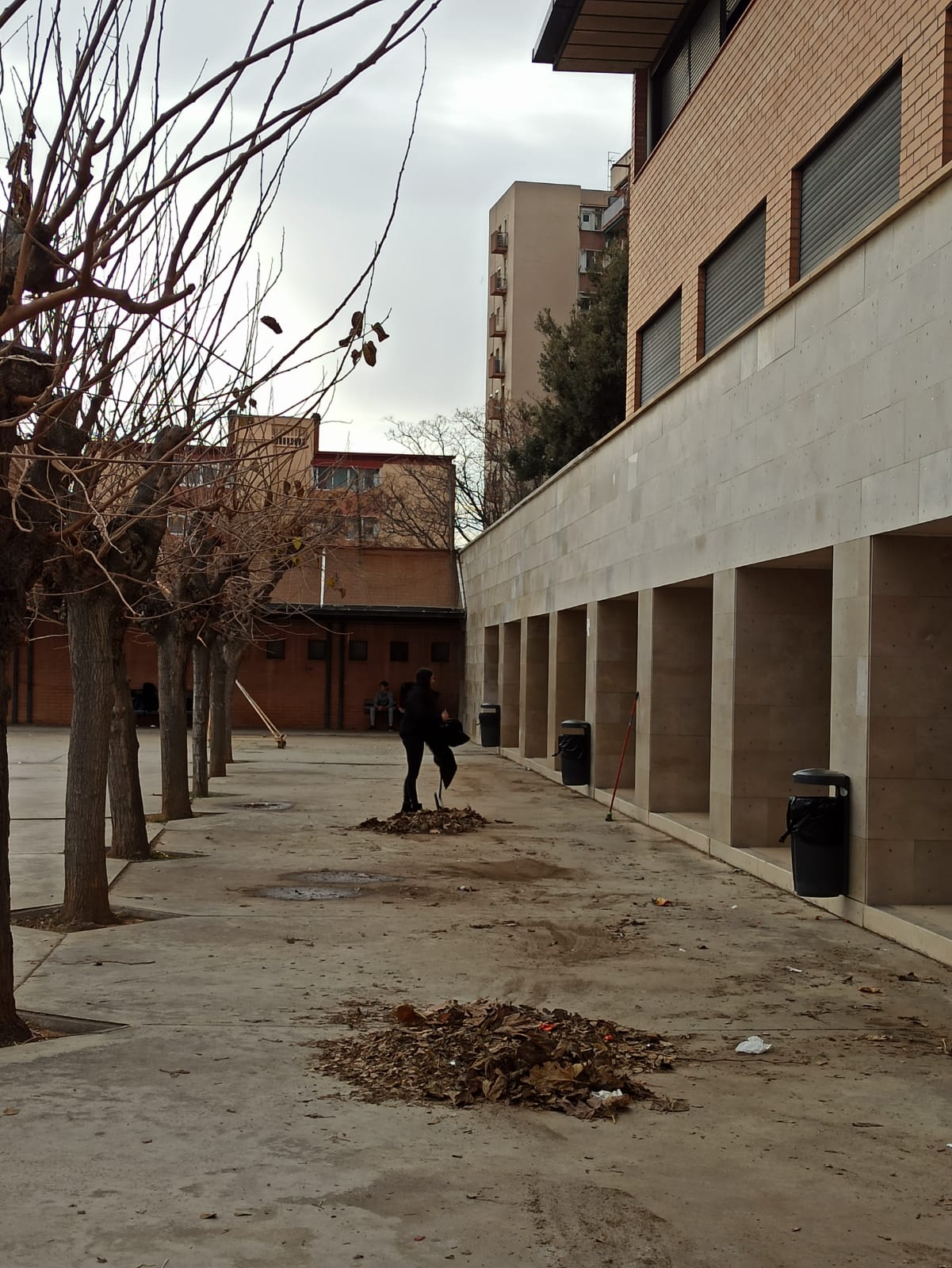 WhatsApp Image 2024-01-17 at 15.46.39 (2)